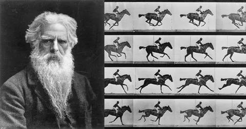 The Anatomy of Motion in Muybridge Studies